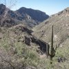 Sabino Canyon trail