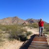 hiker on the North mountain park nature trail loop (Casa Grande)