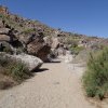Hiking in a wash along the Ford Canyon trail