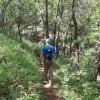 Hiking on the Smith Ravine trail