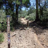Watershed trail start