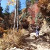 Fall colors on the North Kaibab trail