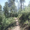 Sierra Prieta trail