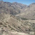 Sabino canyon to Bear Canyon loop hike