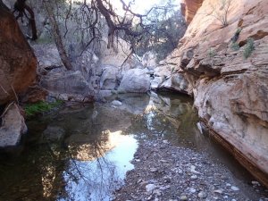 Peaceful creek in White Canyon