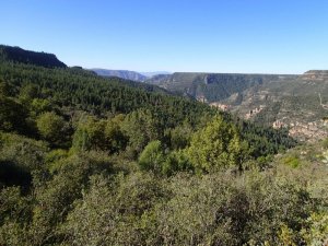 Views of Sycamore canyon