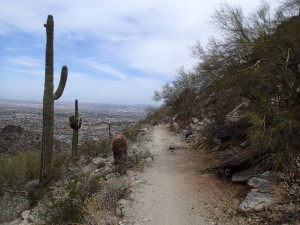 Views of Phoenix from the Geronimo trail