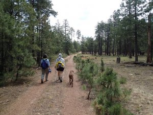 Hikers along the Willow springs lake bike trail