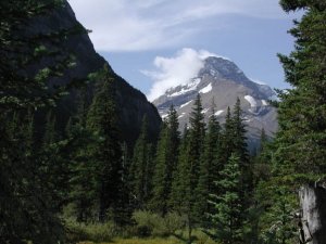 Gunsight pass (Glacier national park)