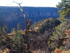 Fall colors on the Old Bright Angel trail